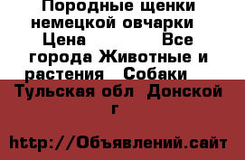 Породные щенки немецкой овчарки › Цена ­ 24 000 - Все города Животные и растения » Собаки   . Тульская обл.,Донской г.